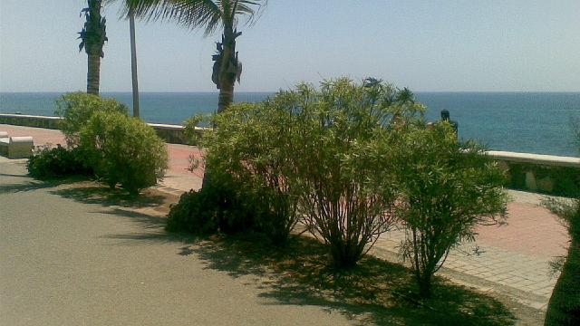 Grancanaria 2007-35.jpg